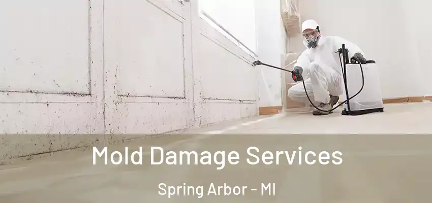  Mold Damage Services Spring Arbor - MI