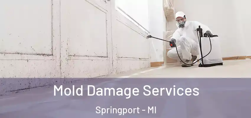  Mold Damage Services Springport - MI