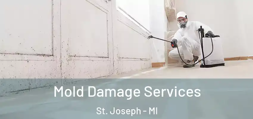 Mold Damage Services St. Joseph - MI