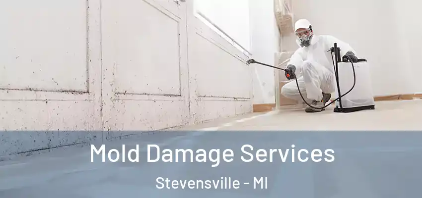 Mold Damage Services Stevensville - MI