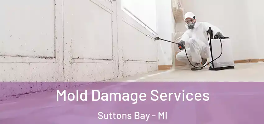 Mold Damage Services Suttons Bay - MI