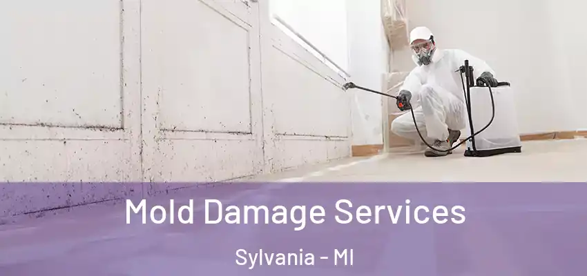  Mold Damage Services Sylvania - MI