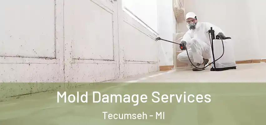  Mold Damage Services Tecumseh - MI