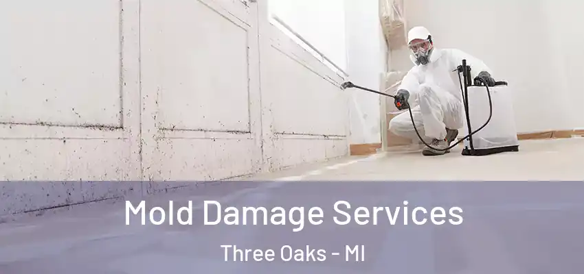 Mold Damage Services Three Oaks - MI