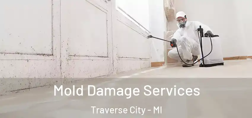 Mold Damage Services Traverse City - MI