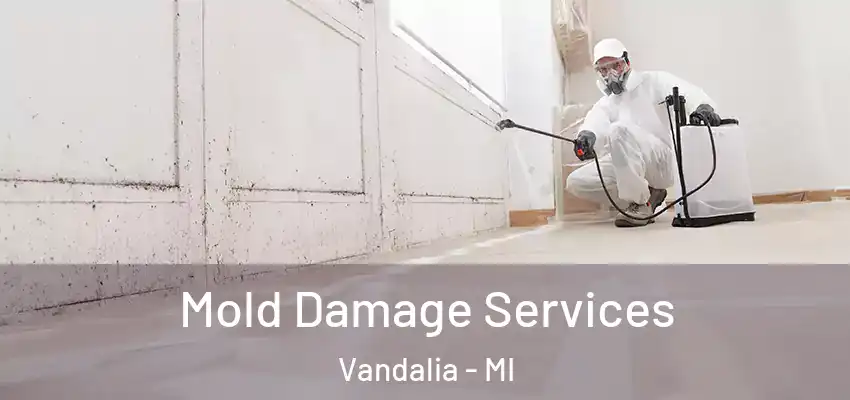 Mold Damage Services Vandalia - MI
