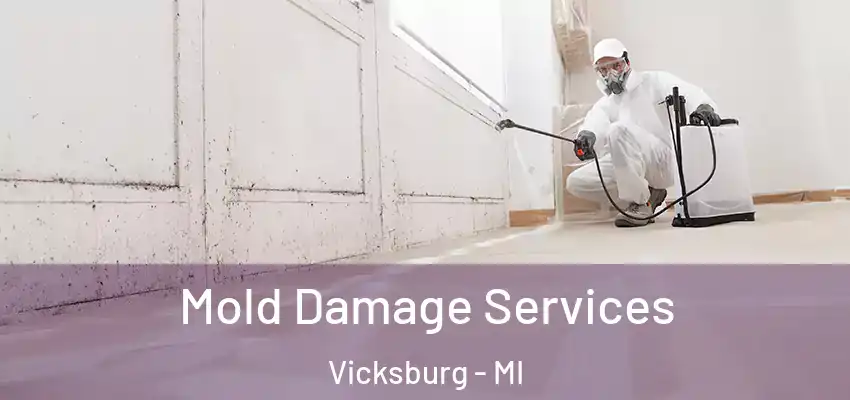 Mold Damage Services Vicksburg - MI