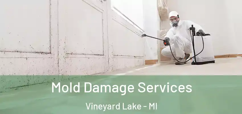 Mold Damage Services Vineyard Lake - MI