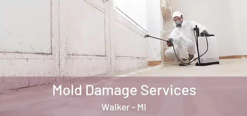  Mold Damage Services Walker - MI