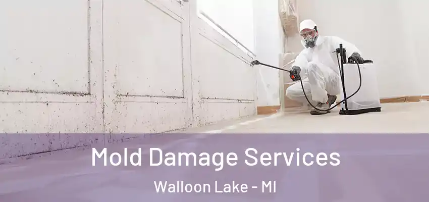Mold Damage Services Walloon Lake - MI