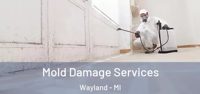 Mold Damage Services Wayland - MI
