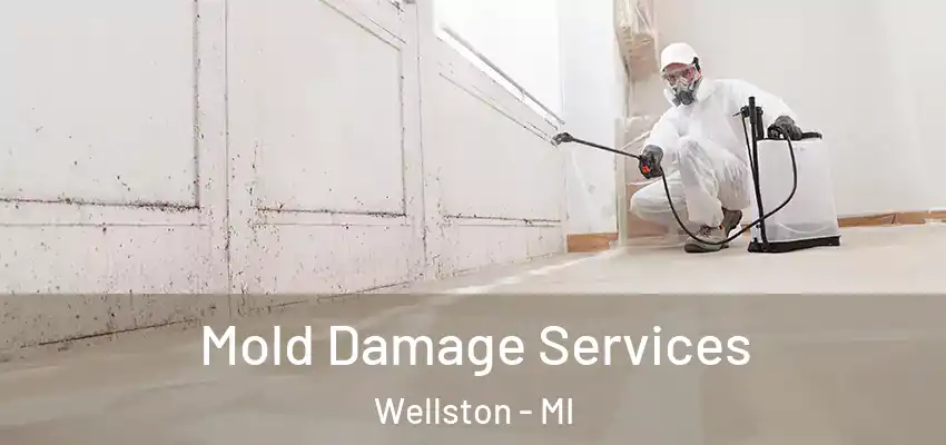  Mold Damage Services Wellston - MI