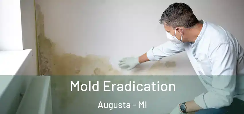  Mold Eradication Augusta - MI