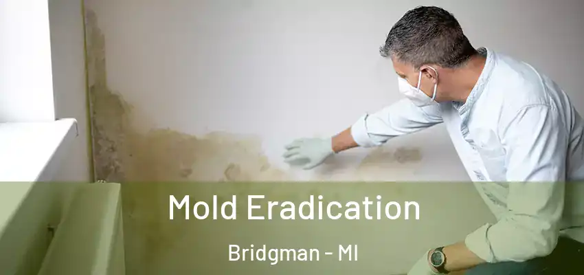  Mold Eradication Bridgman - MI