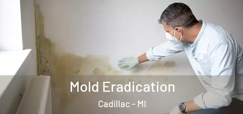  Mold Eradication Cadillac - MI