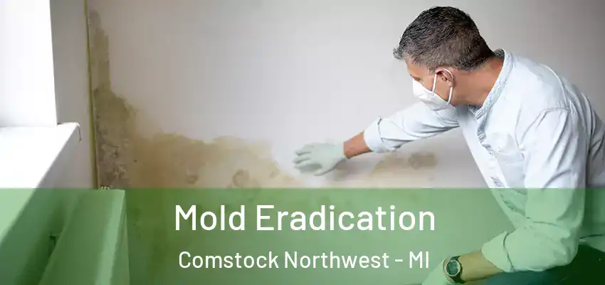  Mold Eradication Comstock Northwest - MI