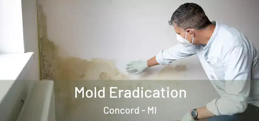  Mold Eradication Concord - MI