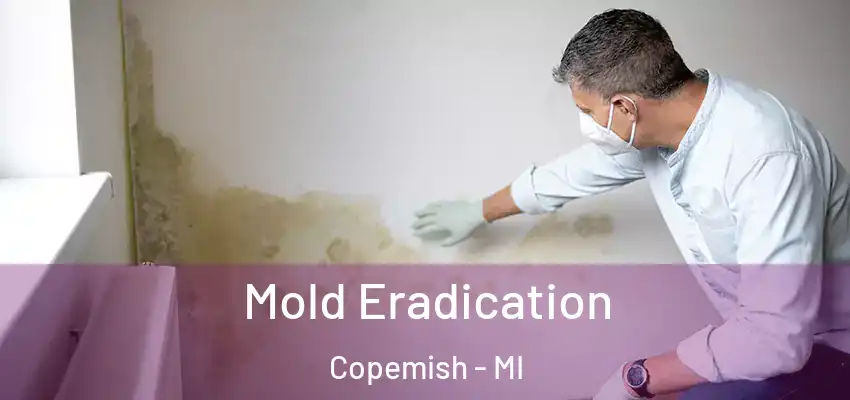 Mold Eradication Copemish - MI