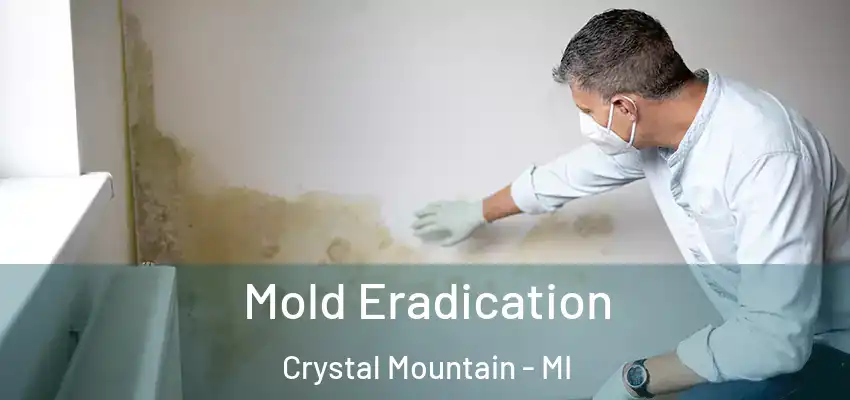  Mold Eradication Crystal Mountain - MI