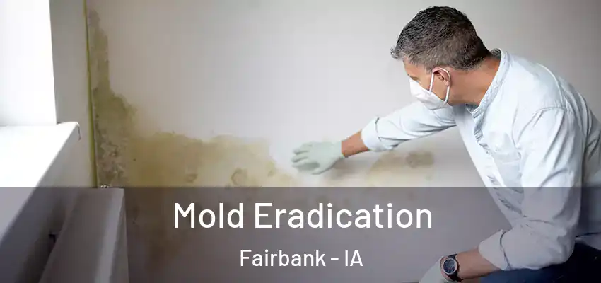 Mold Eradication Fairbank - IA