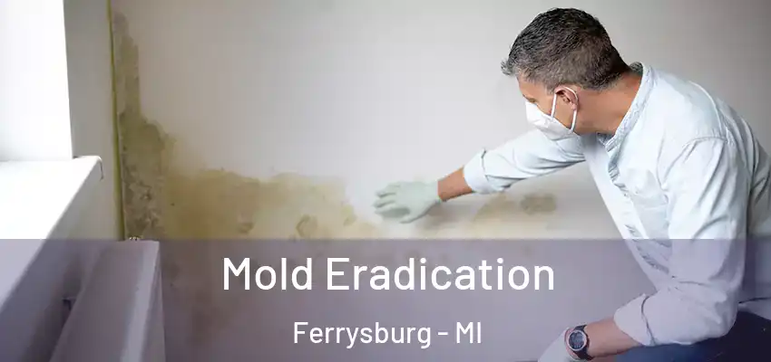 Mold Eradication Ferrysburg - MI