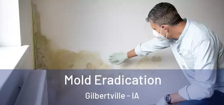  Mold Eradication Gilbertville - IA