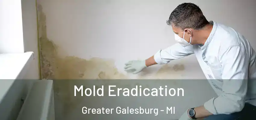 Mold Eradication Greater Galesburg - MI