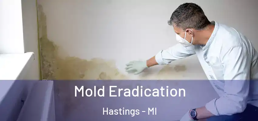 Mold Eradication Hastings - MI