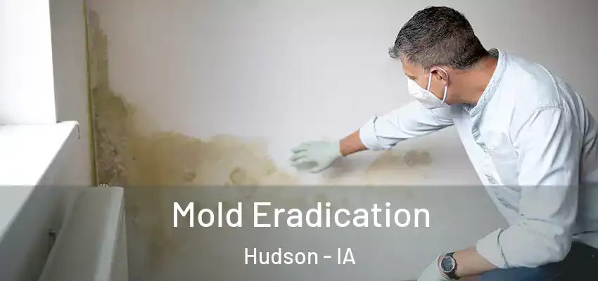  Mold Eradication Hudson - IA