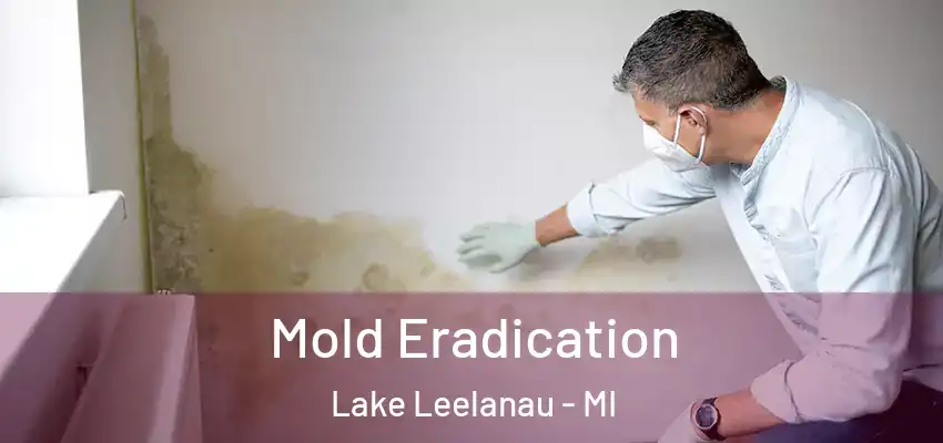  Mold Eradication Lake Leelanau - MI
