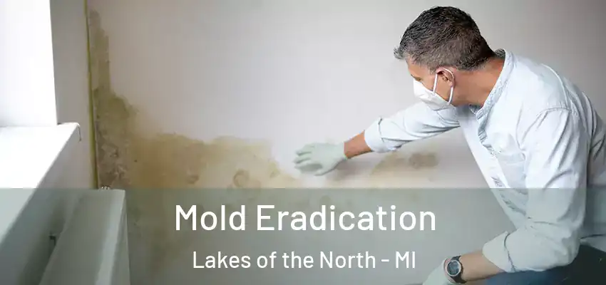  Mold Eradication Lakes of the North - MI