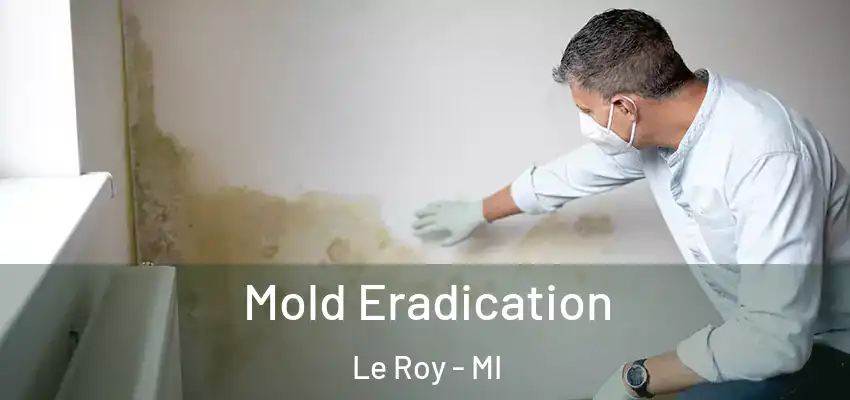  Mold Eradication Le Roy - MI