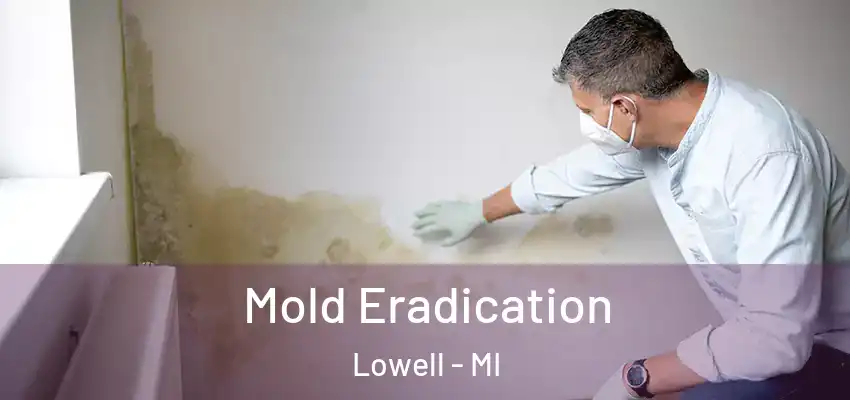  Mold Eradication Lowell - MI