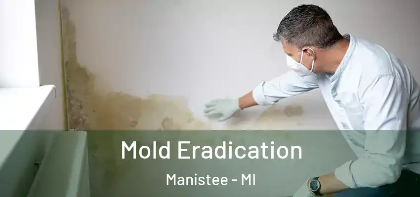  Mold Eradication Manistee - MI