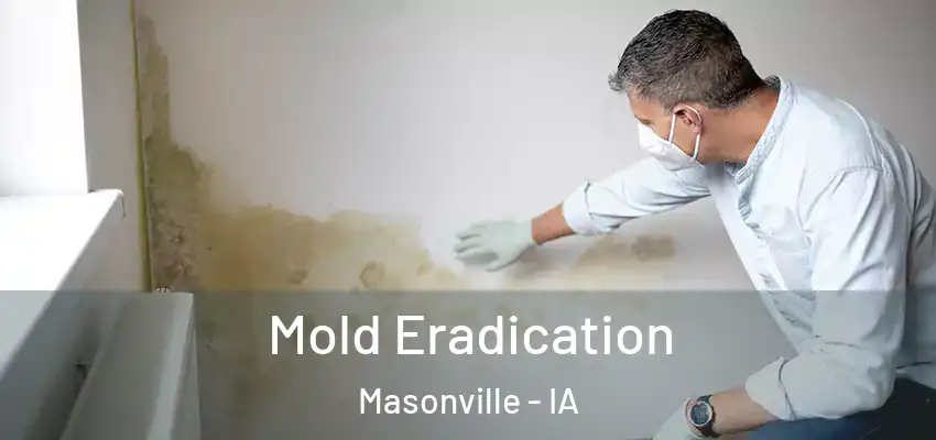  Mold Eradication Masonville - IA