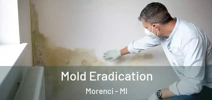 Mold Eradication Morenci - MI