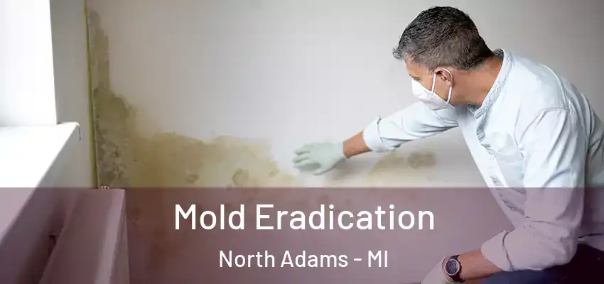Mold Eradication North Adams - MI