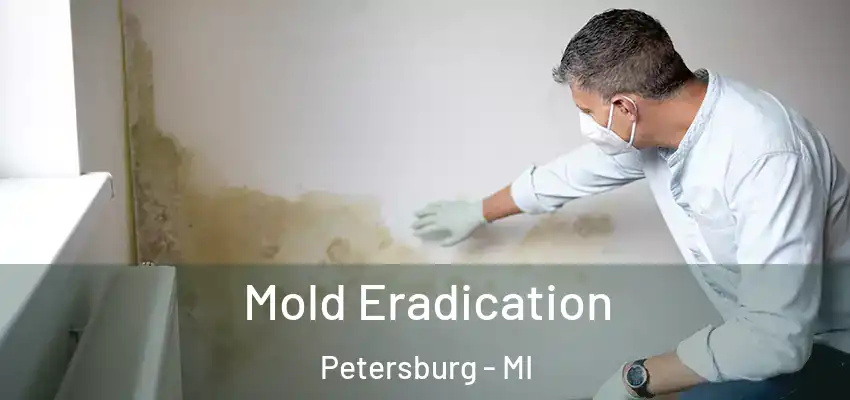  Mold Eradication Petersburg - MI