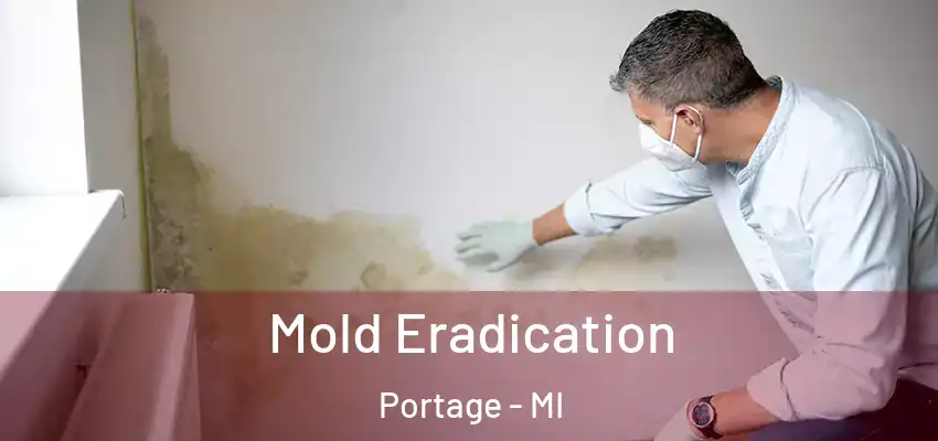 Mold Eradication Portage - MI