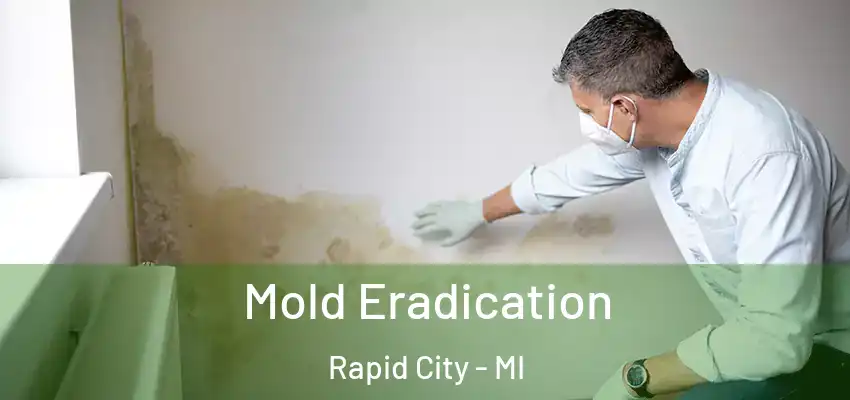 Mold Eradication Rapid City - MI