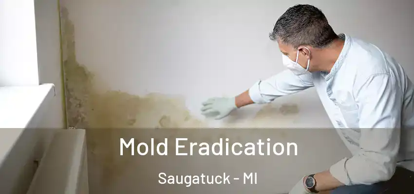 Mold Eradication Saugatuck - MI