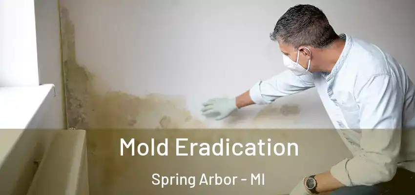  Mold Eradication Spring Arbor - MI