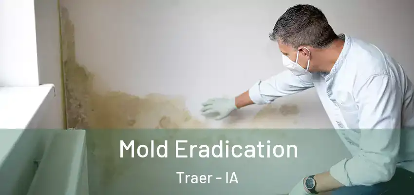  Mold Eradication Traer - IA