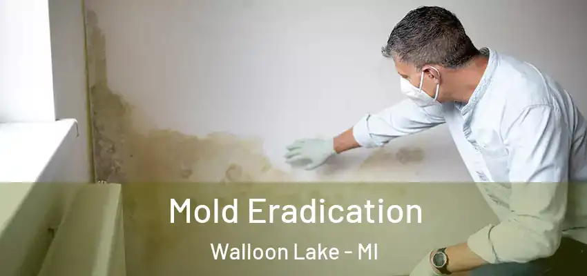 Mold Eradication Walloon Lake - MI