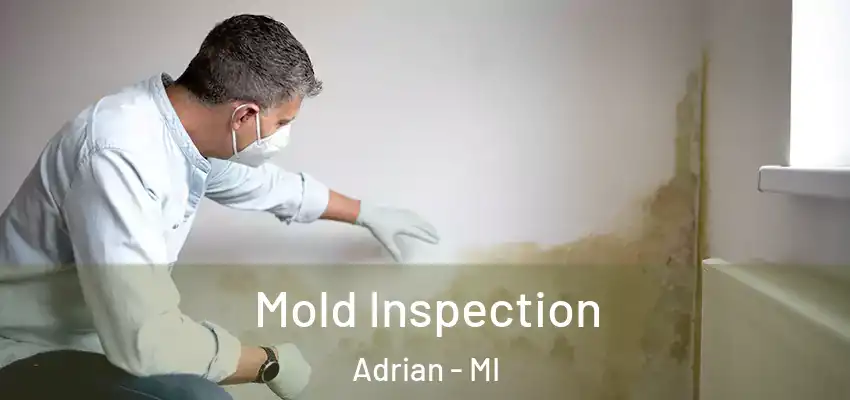  Mold Inspection Adrian - MI