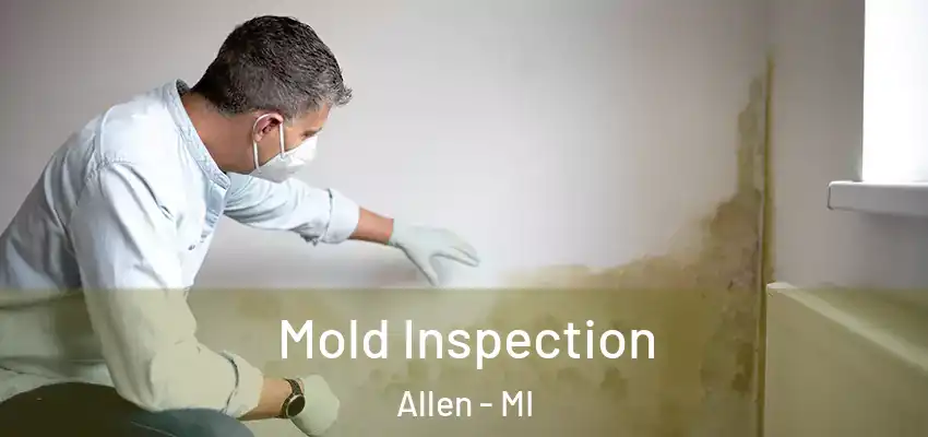  Mold Inspection Allen - MI