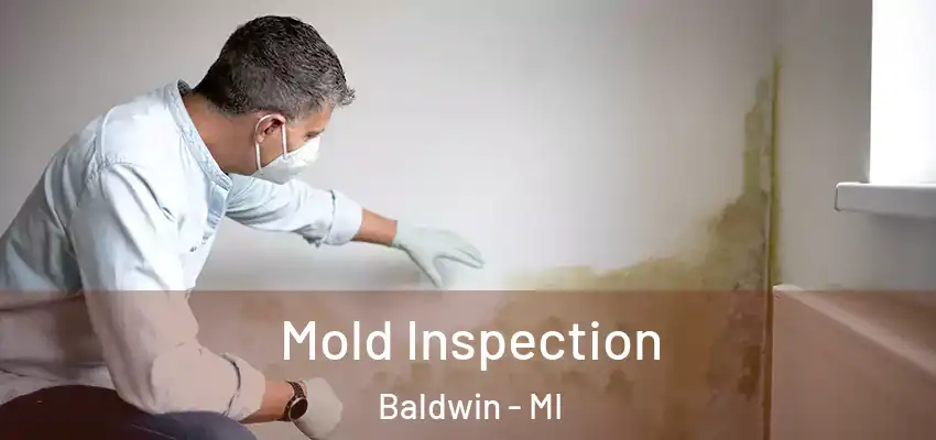 Mold Inspection Baldwin - MI