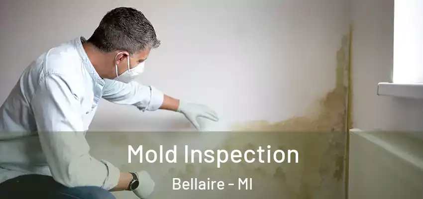  Mold Inspection Bellaire - MI