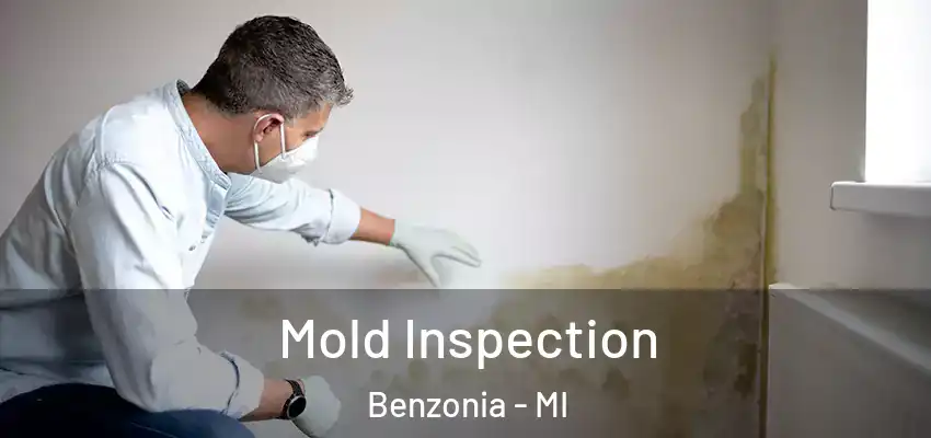  Mold Inspection Benzonia - MI