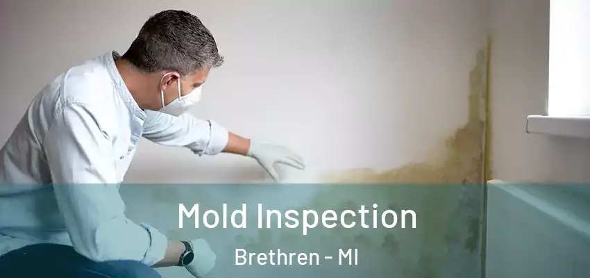  Mold Inspection Brethren - MI